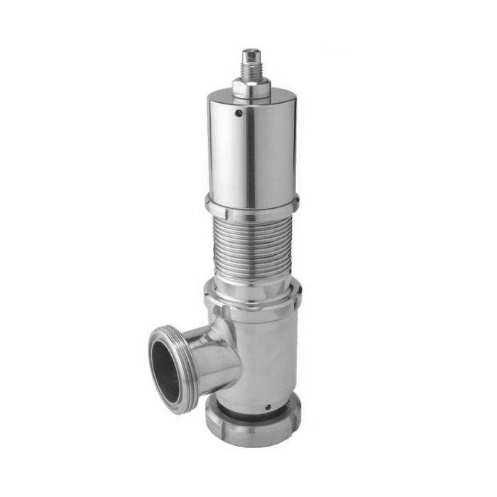 Sanitary Kieselman Safety Valve