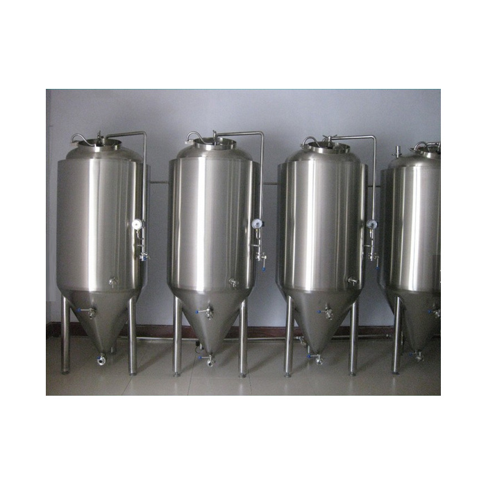 Small-size Fermentation tank Beer Container